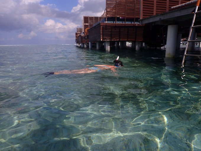 泰姬珍品岛 Taj Exotica Resort